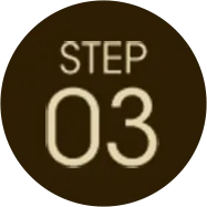 Step03
